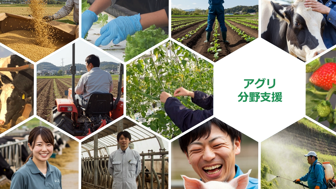 全国の現場で“成果が見える”支援