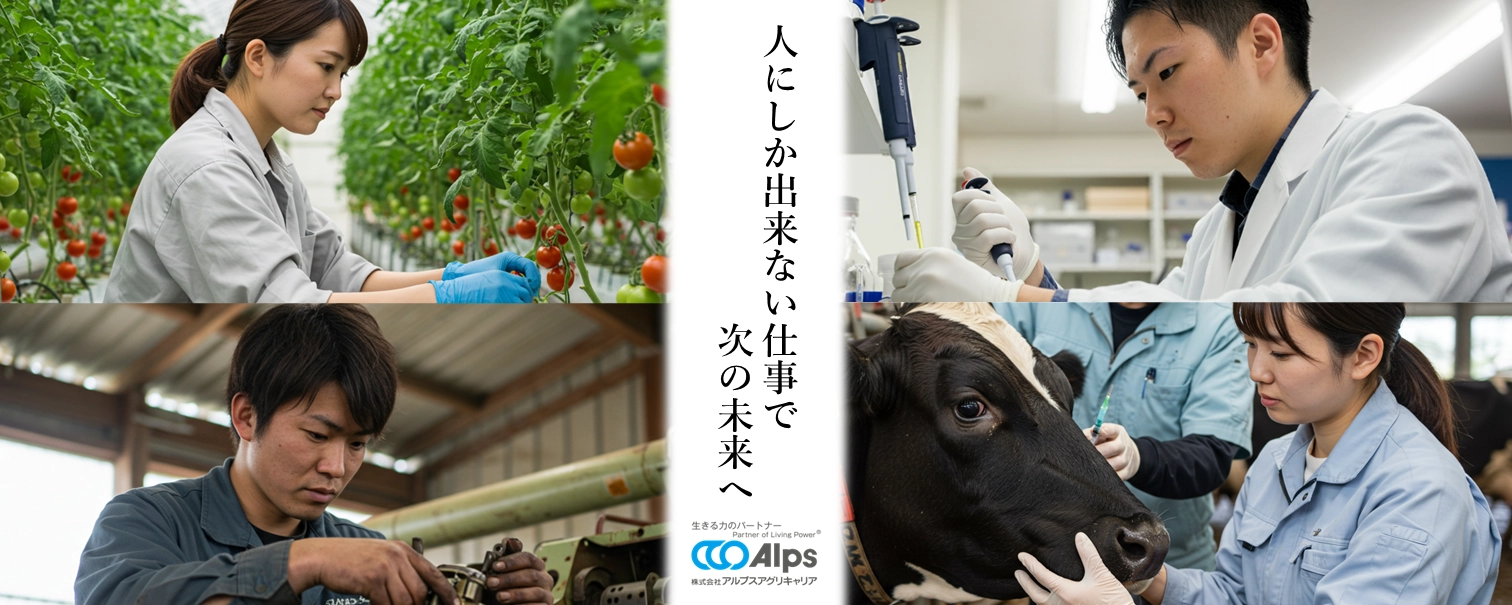 入社後のフォロー